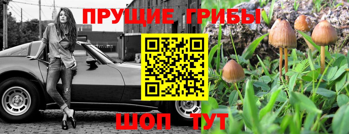 Галлюциногенные грибы Magic Shrooms  Вход с VPN  Псилоцибиновые грибы Psilocybine cubensis  Лабинск 