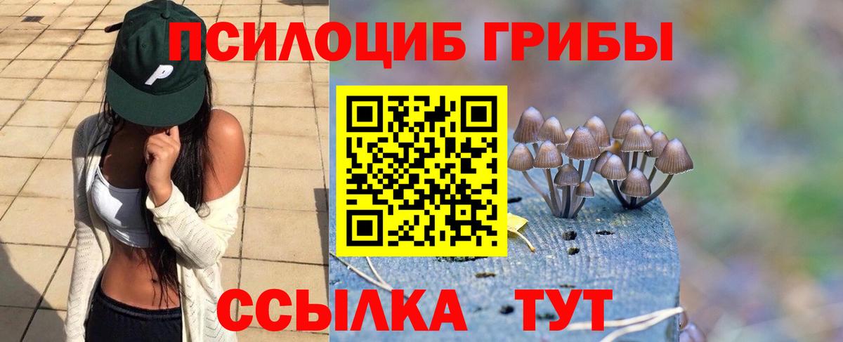 Галлюциногенные грибы Magic Shrooms Лабинск